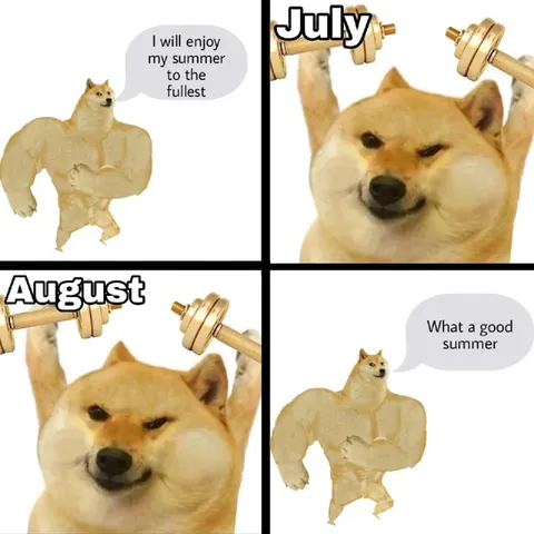 Doge Enjoys Summer