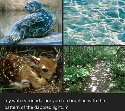 Watery Friend and Dappled Light