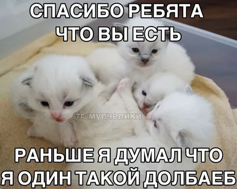Спасибо ребята, что вы есть