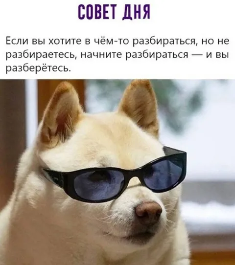 Совет разобраться во всём