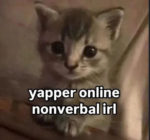 Yapper Online Nonverbal Irl