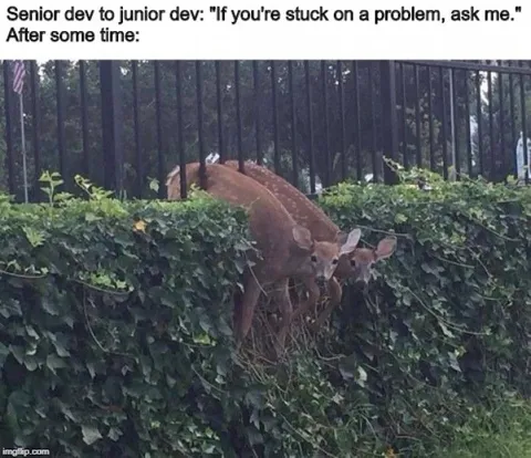 Senior Dev Asks Junior to Ask