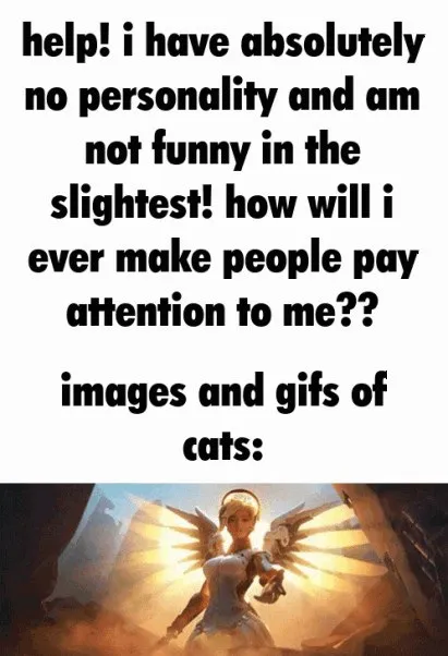 Absolutely No Personality Cat