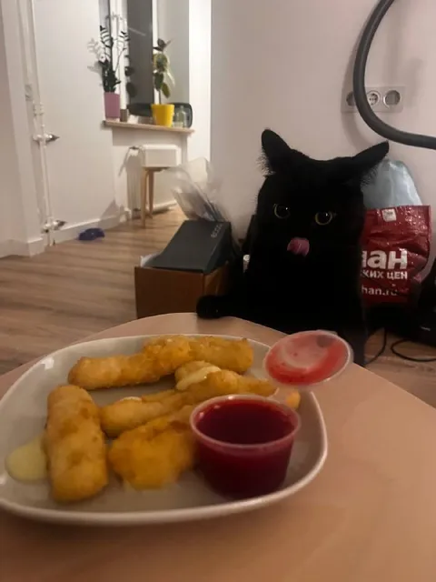 Кот заметил наггетсы