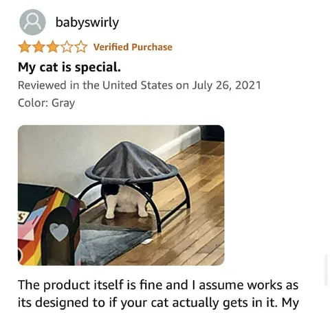 Cat Ignores Special Product