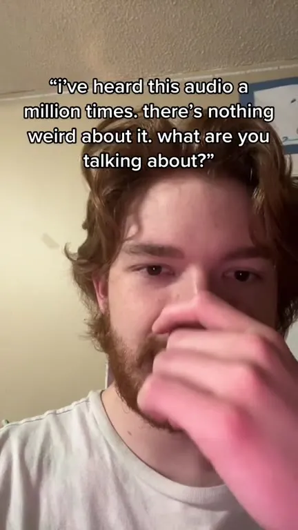 Nothing Weird About This Audio