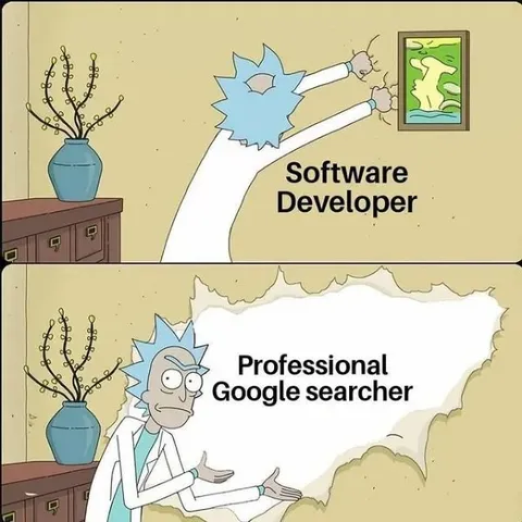 Software Developer Google Searcher