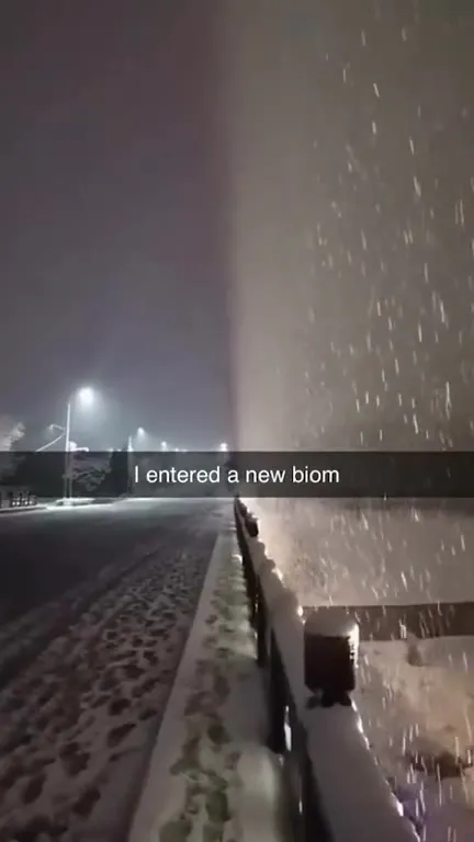I Entered a New Biome