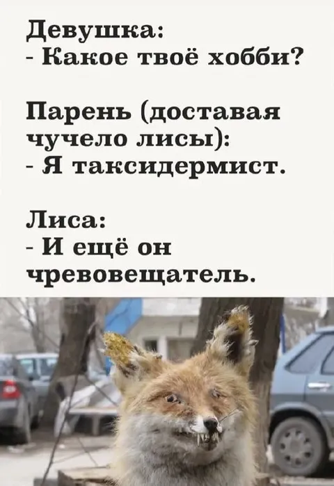 Таксидермист и чревовещатель