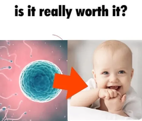 Is It Really Worth It?