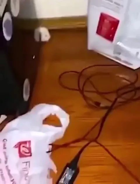 Кот внезапно смотрит в камеру