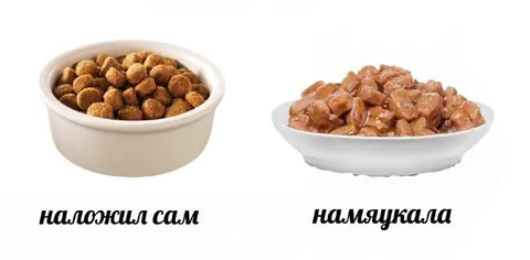 Наложил сам, намяукала