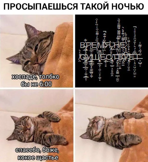 Кот просыпается ночью