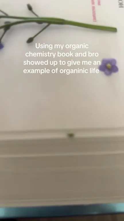Organic Chemistry Gets Too Literal