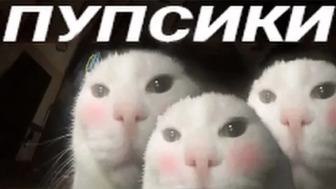 Три милых пупсика