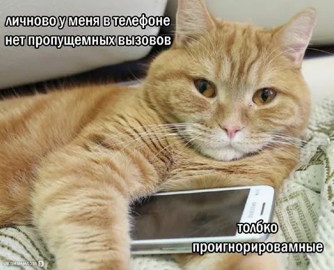 Нет пропущенных, только проигнорированные