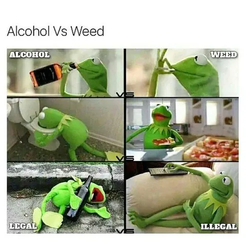 Alcohol vs Weed Kermit