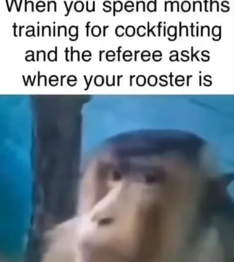 Training for Cockfighting Without a Rooster