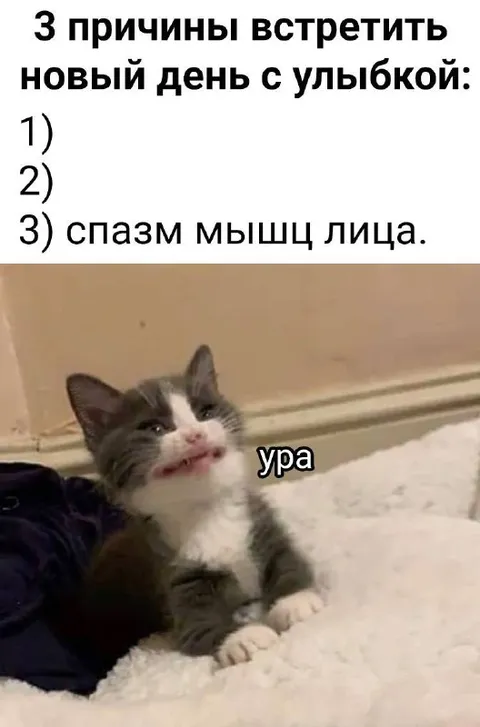 Три причины встретить новый день