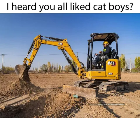 Cat Boys Excavator