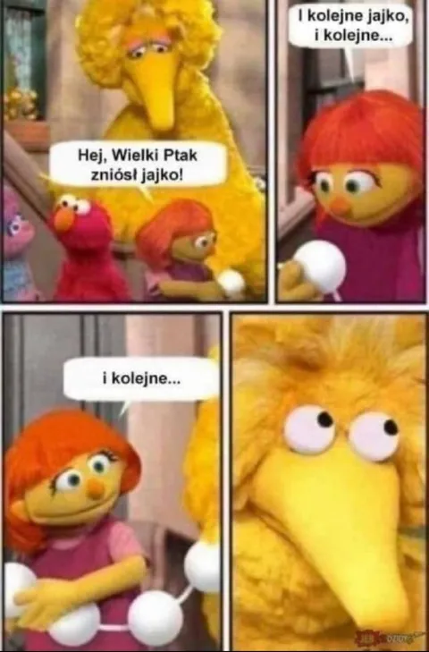 Wielki Ptak zniósł jajko