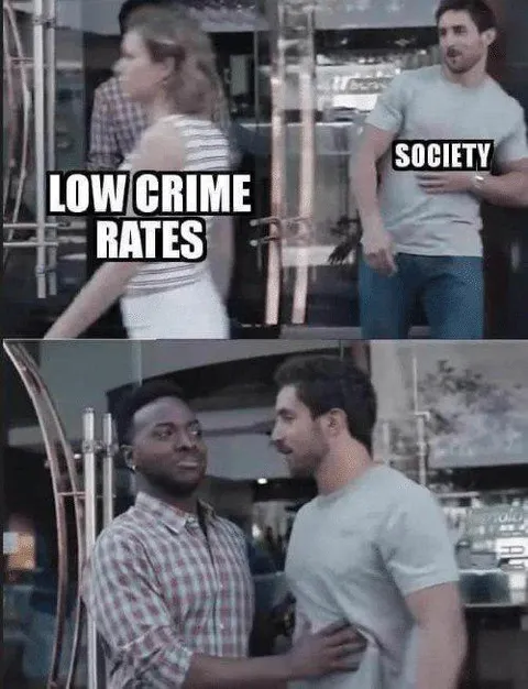 Low Crime Rates Society