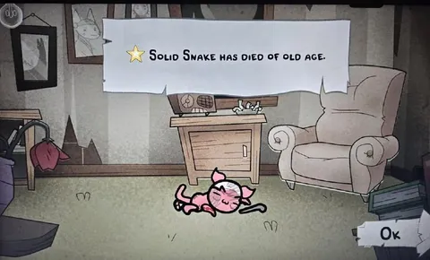 Solid Snake Dies of Old Age