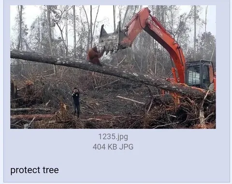 Protect the Tree