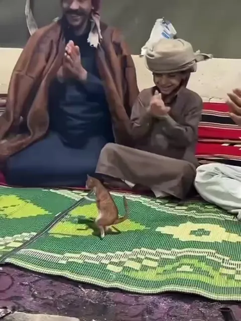 الفأر يرقص وسط التصفيق