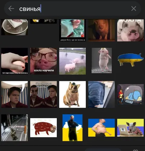 Поиск по запросу «свинья»