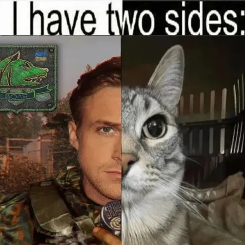 I Have Two Sides Cat Soldier
