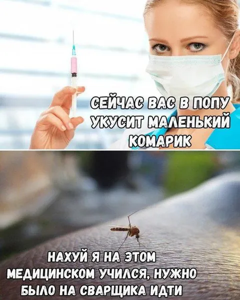 Маленький комарик и медицина