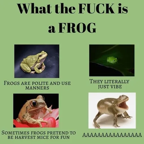 What the Fuck Is a Frog