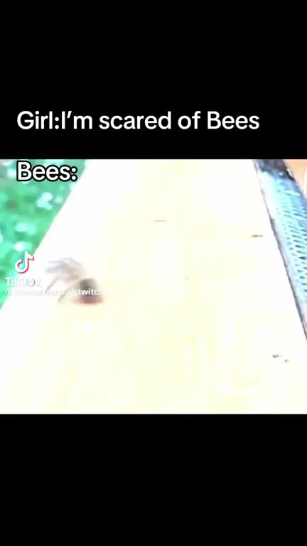 Girl Scared of Bees