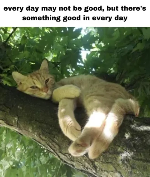 Something Good Every Day