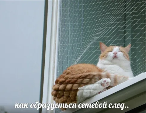 Как образуется сетевой след