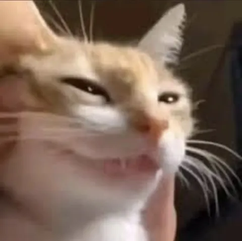 Уставший прищур кота