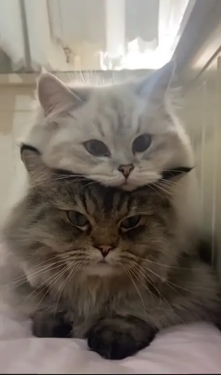 Я и мой любимый подписчик