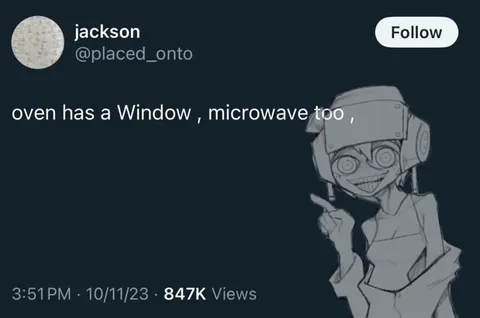 Dishwasher Window Conspiracy