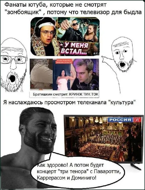 Фанаты YouTube и телеканал «Культура»