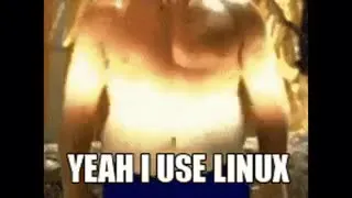 Yeah I Use Linux Cat