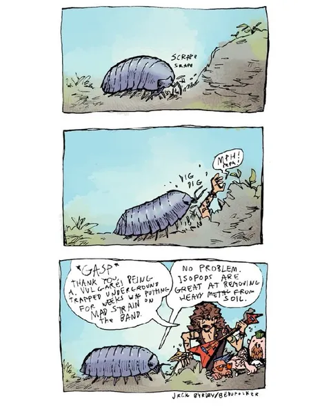 Isopod Metal Band Rescue