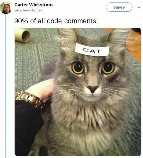 90% of Code Comments