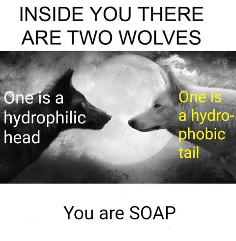 Inside You There Are Two Wolves