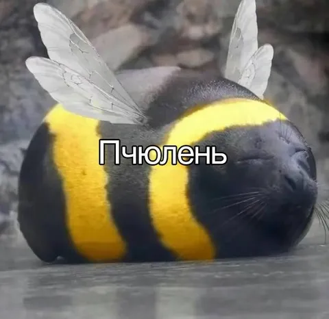 Пчолень лежит на земле