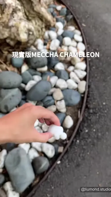 現實版MECCHA CHAMELEON