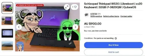 Broken Laptop for $900