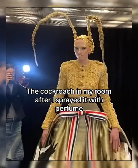 Cockroach After Perfume Spray
