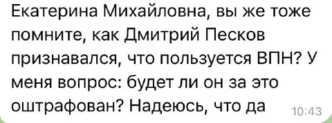 Песков признался в использовании VPN