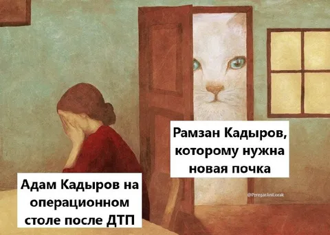 Кадыровы и новая почка
